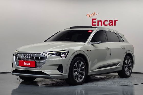 Audi e-tron 55 Quattro — пробег 129 058 км — фото 1 из 5
