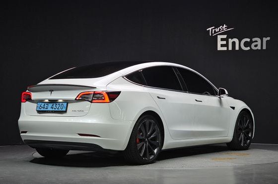 Tesla Model 3 Performance AWD — пробег 110 751 км — фото 2 из 5