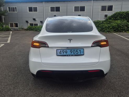 Tesla Model Y RWD — пробег 61 289 км — фото 4 из 5