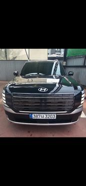 Hyundai Palisade HEV 2.5T 4WD 9-Seater Calligraphy — пробег 3 700 км — фото 3 из 5