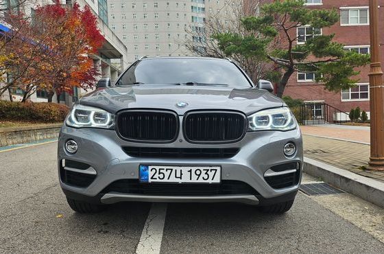 BMW X6 xDrive 30d — пробег 137 000 км — фото 1 из 5