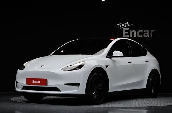 Tesla Model Y RWD — пробег 35 966 км — фото 1 из 5