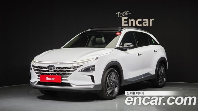 Hyundai Nexo Premium — пробег 72 251 км — фото 1 из 5