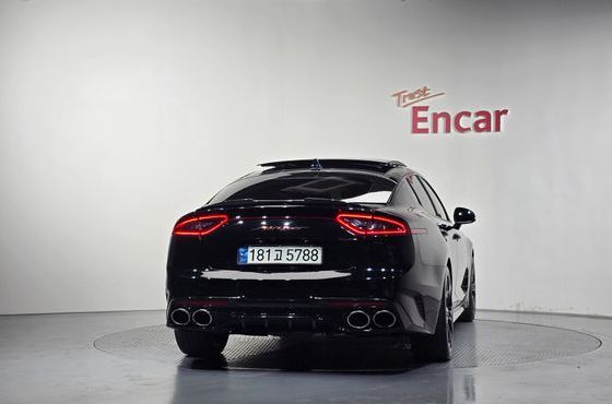 Kia Stinger 2.0 Turbo AWD Platinum — пробег 125 345 км — фото 4 из 5
