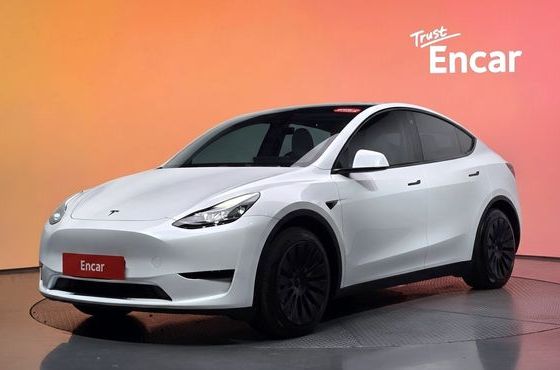 Tesla Model Y RWD — пробег 53 278 км — фото 1 из 5