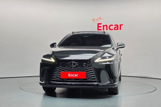 Lexus RX Luxury — пробег 24 349 км — фото 3 из 5