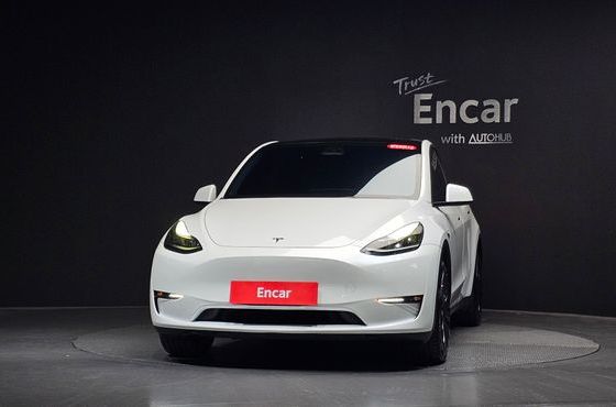 Tesla Model Y Long Range AWD — пробег 117 135 км — фото 3 из 5
