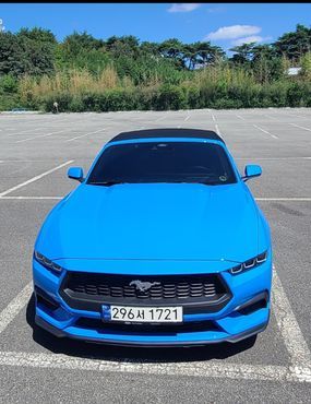 Ford Mustang 2.3 Ecoboost Premium Convertible — пробег 28 300 км — фото 1 из 5