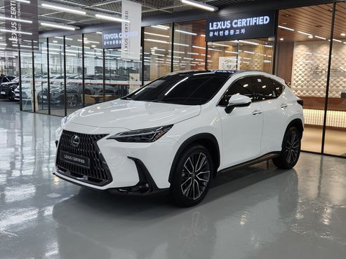 Lexus NX Luxury — пробег 2 840 км — фото 1 из 5