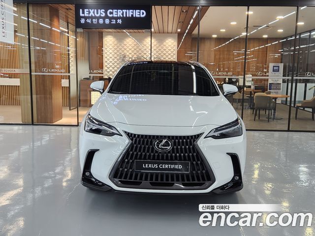 Lexus NX Luxury — пробег 2 840 км — фото 3 из 5