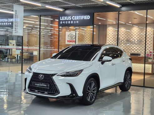 Lexus NX Luxury — пробег 4 144 км — фото 1 из 5