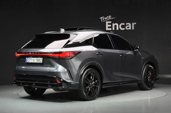 Lexus RX F-Sport — пробег 21 142 км — фото 2 из 5