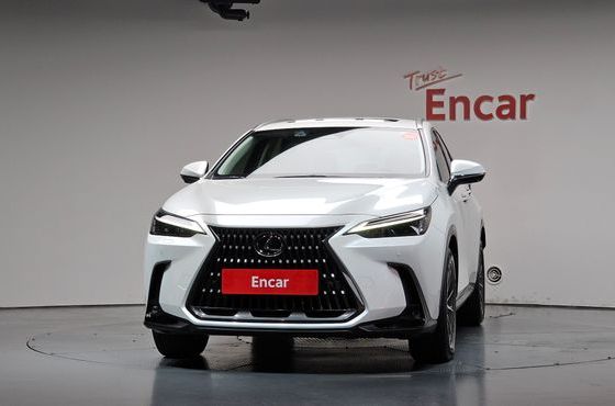 Lexus NX Premium — пробег 48 341 км — фото 3 из 5