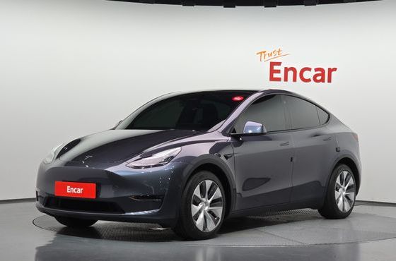 Tesla Model Y Long Range AWD — пробег 88 621 км — фото 1 из 5