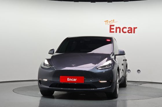 Tesla Model Y Long Range AWD — пробег 88 621 км — фото 3 из 5