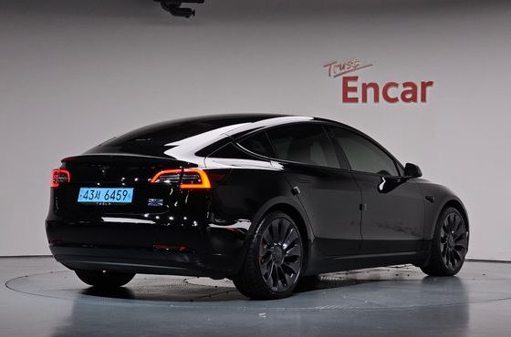 Tesla Model 3 Performance AWD — пробег 50 669 км — фото 2 из 5