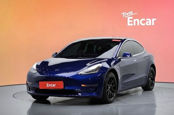 Tesla Model 3 Standard Range Plue RWD — пробег 166 632 км — фото 1 из 5