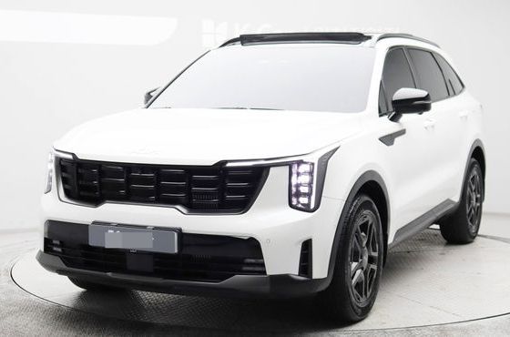Kia Sorento HEV 1.6 2WD Gravity — пробег 21 780 км — фото 1 из 5