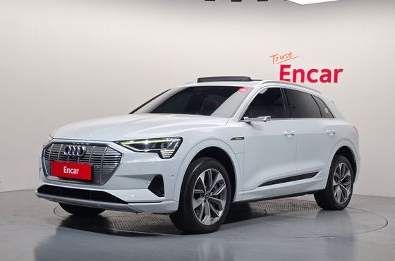 Audi e-tron 55 Quattro — пробег 94 663 км — фото 1 из 5