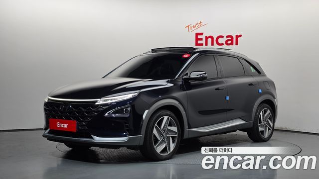 Hyundai Nexo Premium — пробег 203 515 км — фото 1 из 5
