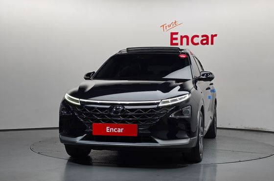 Hyundai Nexo Premium — пробег 203 515 км — фото 3 из 5